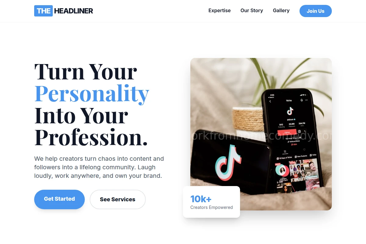 Buffoon Influencer Marketing
