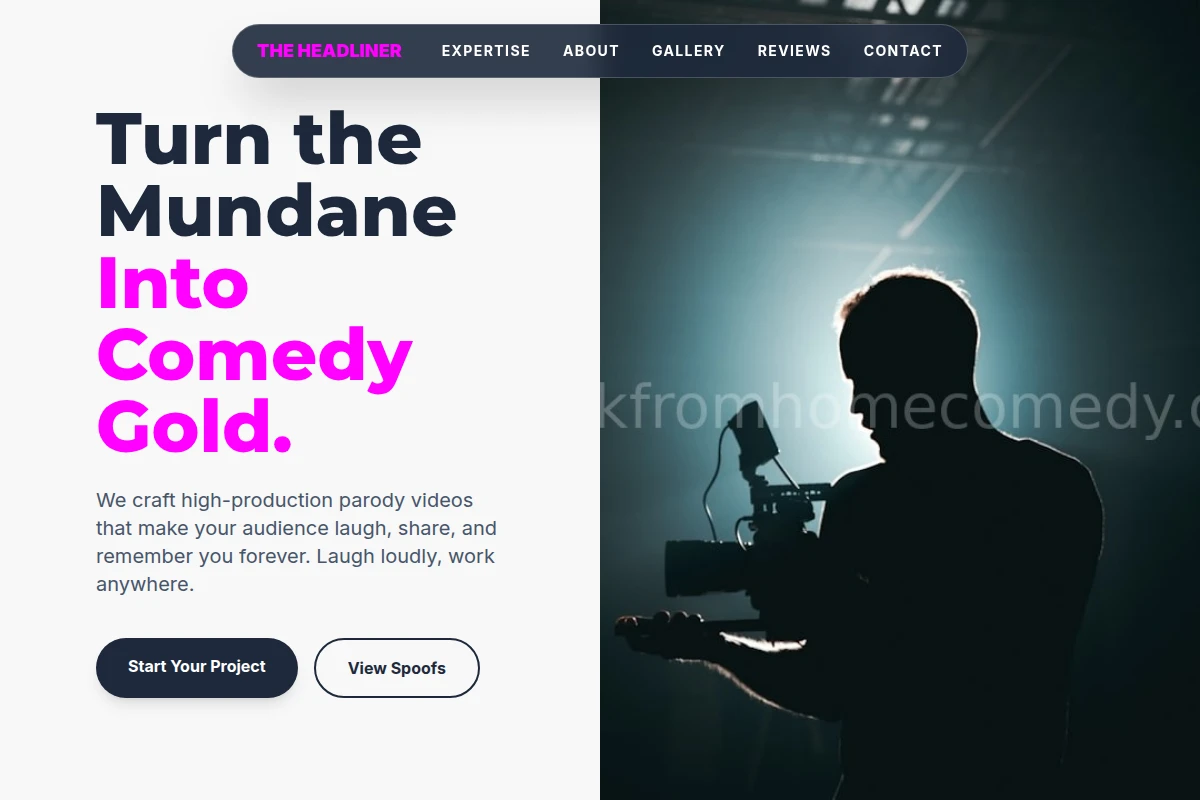 Parody Video Production